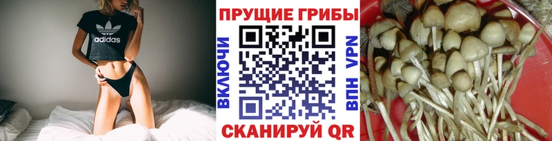 Псилоцибиновые грибы MAGIC MUSHROOMS  что такое наркотик  МЕГА ТОР  Оханск 